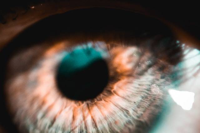 Lentilles Biofinity Energys pour les Professionnels de l'Écran chez Optique des Vosges à Strasbourg